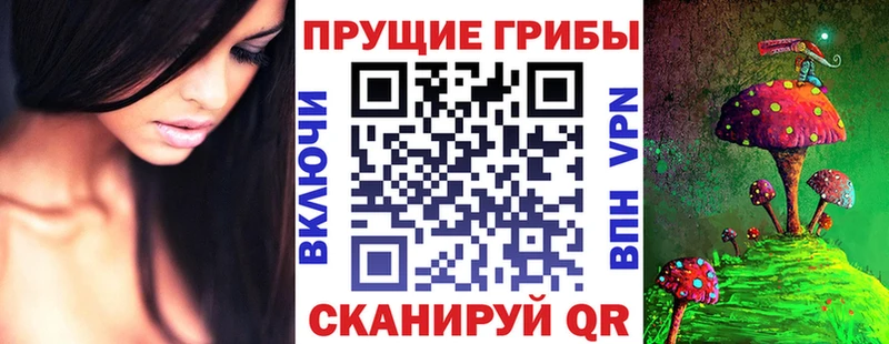 Купить где  Армянск  Галлюциногенные грибы GOLDEN TEACHER 