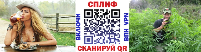 Купить где  Армянск  Марихуана семена 